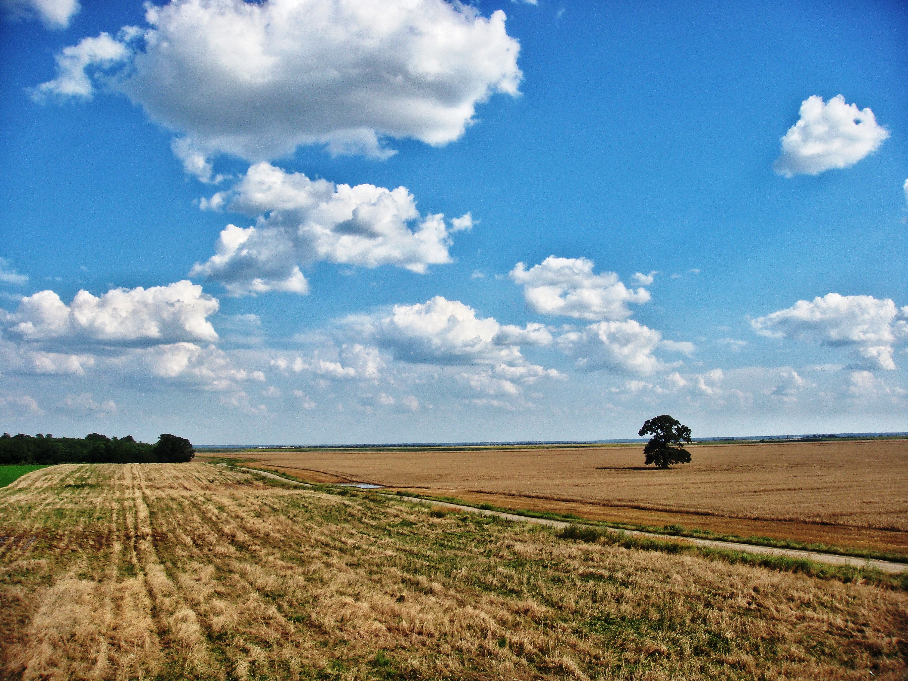 Camp deschis si cer dramatic in zona Frumusani