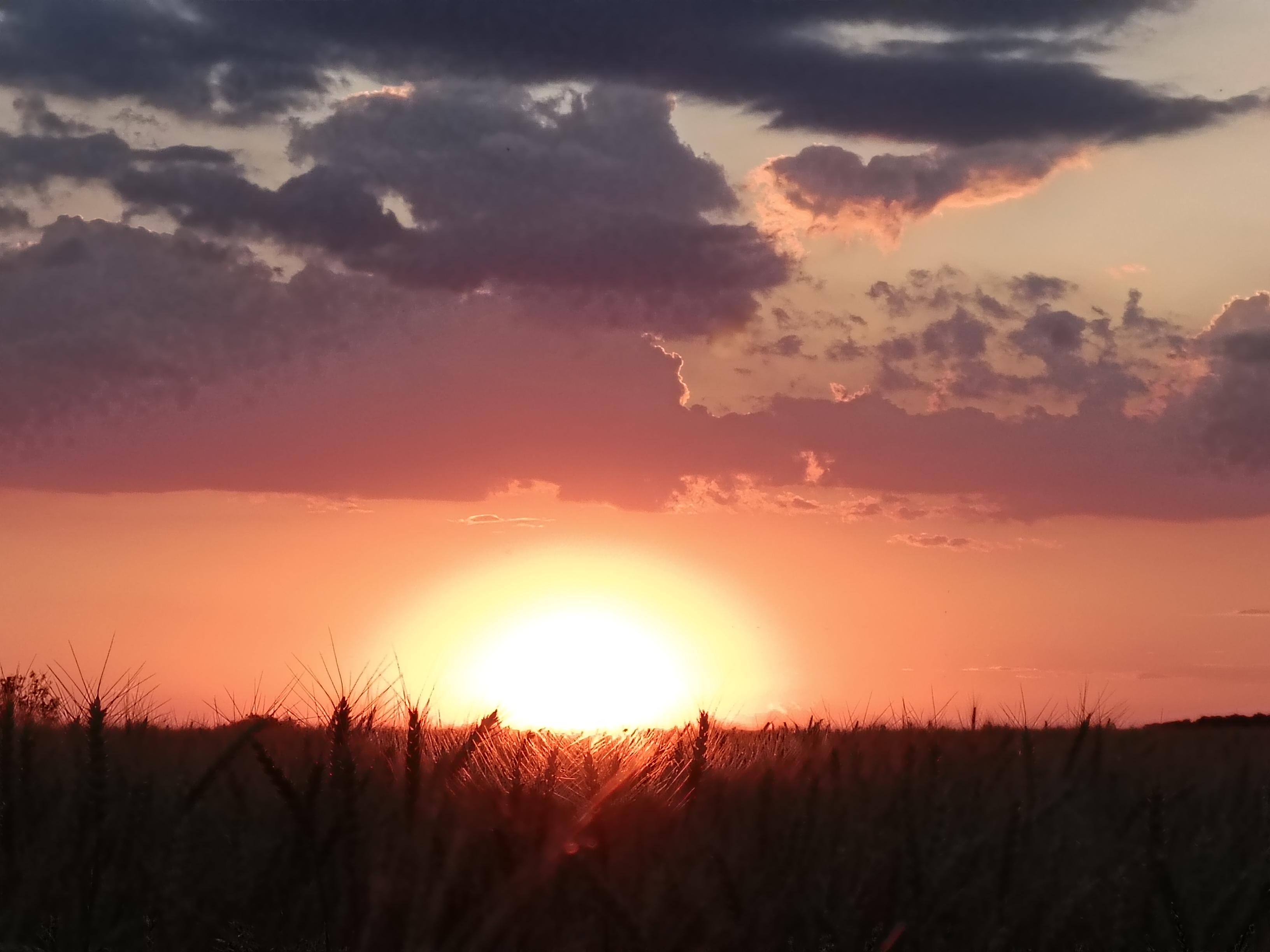 Apus peste camp in Frumusani